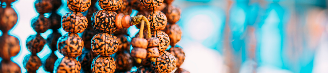 Importance of Rudraksha in your life